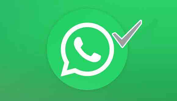 Что означает серая галочка в WhatsApp