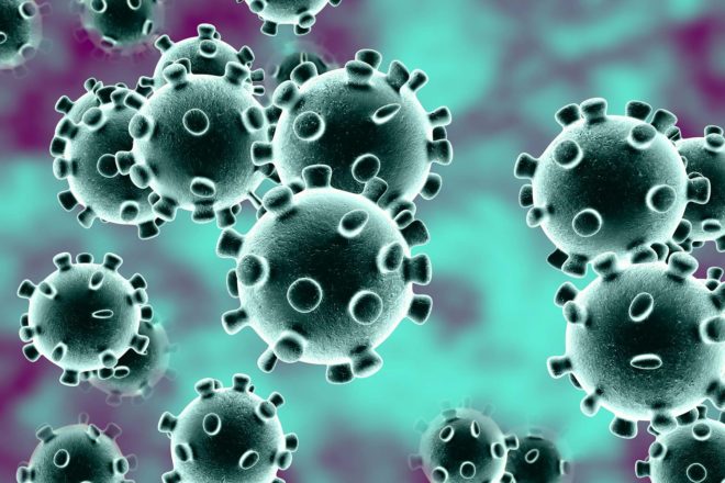 Эпидемия в Китае: что такое коронавирус?  Все что мы знаем