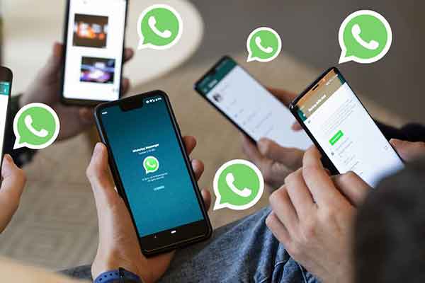 Как узнать, онлайн ли человек в WhatsApp, все методы