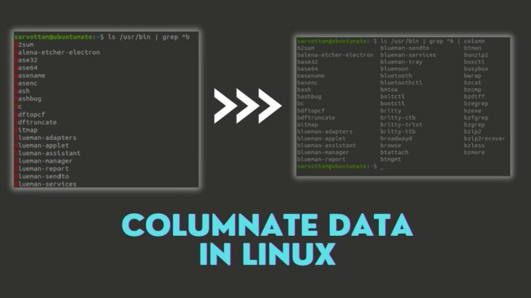 Как использовать команду столбца в Linux с 10 примерами?