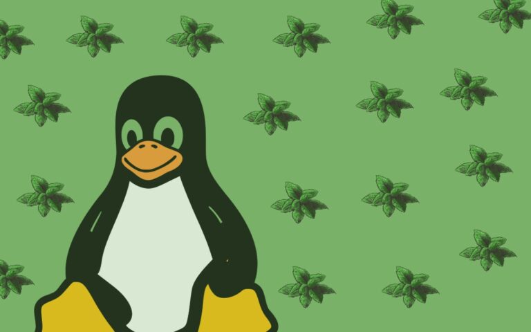 Как выполнить двойную загрузку Linux Mint 20.1 вместе с Windows 10?